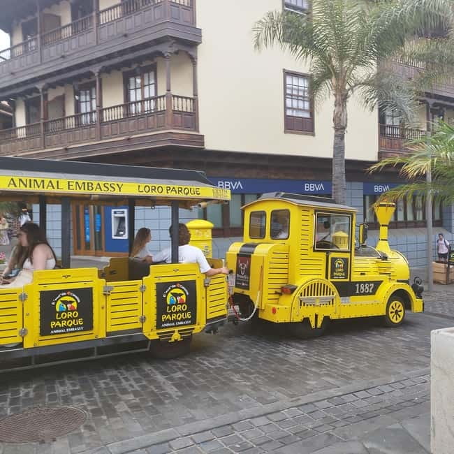 1.5-hour walking tour of Puerto de la Cruz, Tenerife. - Getting oriented at Monumento a la Pescadera and the Pier
