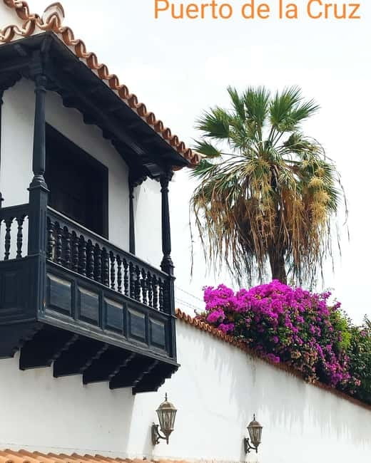 1.5-hour walking tour of Puerto de la Cruz, Tenerife. - Plaza de Europa: where the walk slows and the town opens up