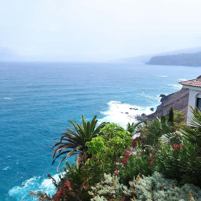 1.5-hour walking tour of Puerto de la Cruz, Tenerife. - Old hermitage of San Telmo: ending at Ermita de San Telmo