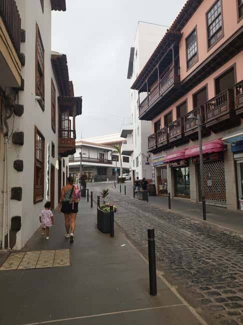 1.5-hour walking tour of Puerto de la Cruz, Tenerife. - Who this tour suits best in Puerto de la Cruz