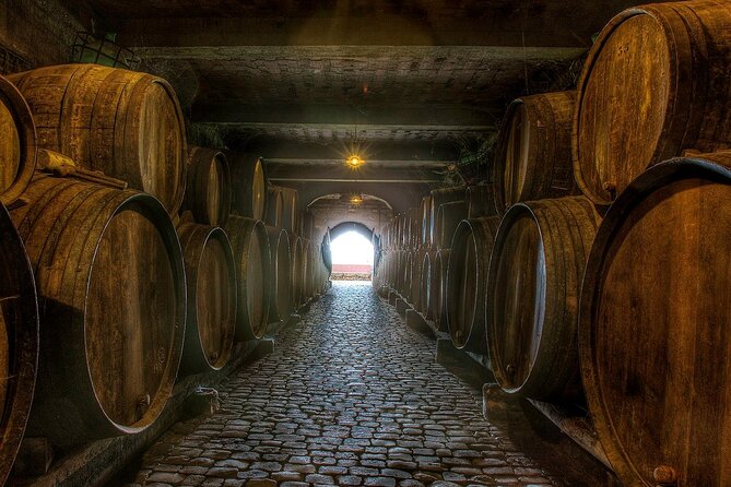 1 Hour and Half Mojo Sauce Workshop With Winery Tour - MojoPicón 101: Red, Green, and the Ingredients That Matter