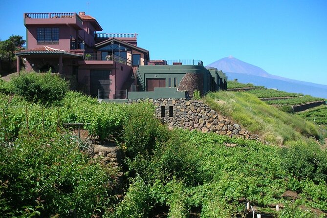 1 Hour and Half Mojo Sauce Workshop With Winery Tour - Small Group Energy: Why Max 6 Travelers Helps You Learn