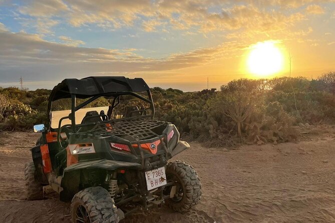 2 hour Buggy Tour in Tenerife with 40 minutes Off-Road - Guides, Group Size, and Why the Tour Feels Controlled