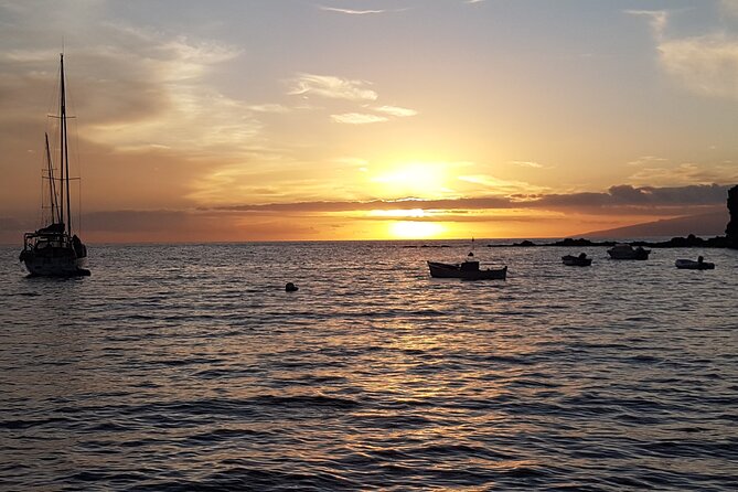 2 hour trip to see whales dolphins puerto colon adeje - The 2-hour itinerary, what you actually do out there