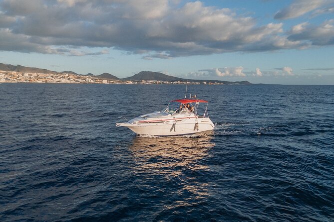 2 Hour VIP Private Luxury Sunset Boat Charter in Tenerife - Comfort and practical details that matter on a boat