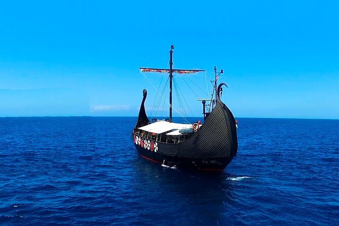 2h Viking Cruise Whales & Dolphins Watching - Should you book the Viking Tenerife Ragnarok whales and dolphins cruise?