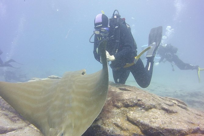 2x diving package, on request including refreshment - Two different underwater experiences, one smooth day rhythm