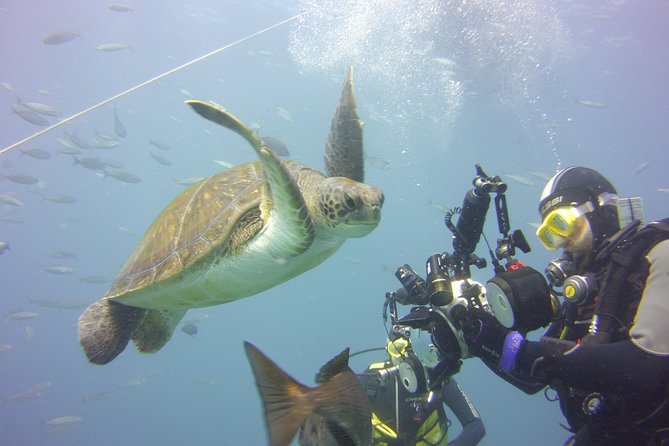 2x diving package, on request including refreshment - Where pickup fits in, and how to plan your timing