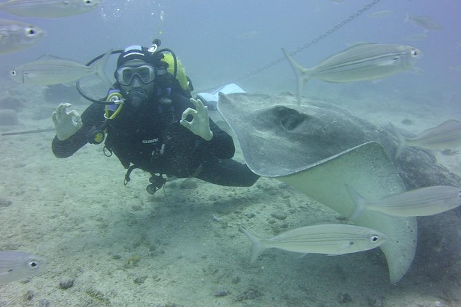 2x diving package, on request including refreshment - Price and value: what you’re really paying for