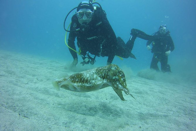 2x diving package, on request including refreshment - Start at Ocean Trek: suit fitting and an equipment check that sets you up