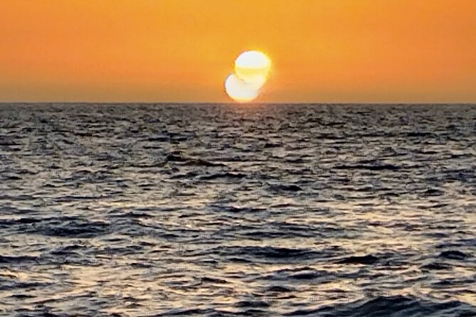 3-hour excursion to Puerto Colón Adeje to see whales - Small details that can make or break your morning