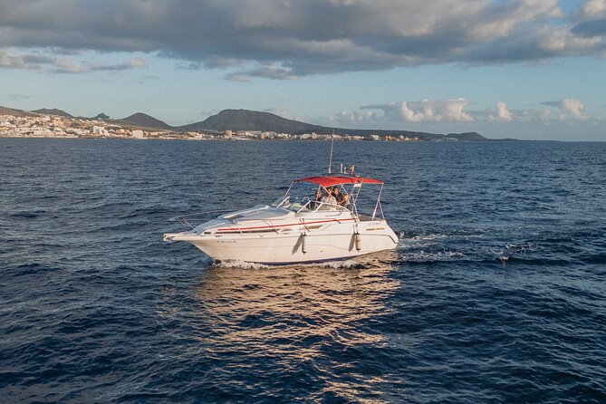 3 Hour VIP Private Luxury Boat Charter in Tenerife - The secluded natural bay stop for swimming and snorkelling