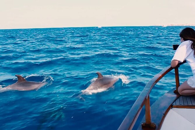 3-Hours Private Tour to Accessible Boat en Canary Island - The 3-hour flow: what you will do from start to finish