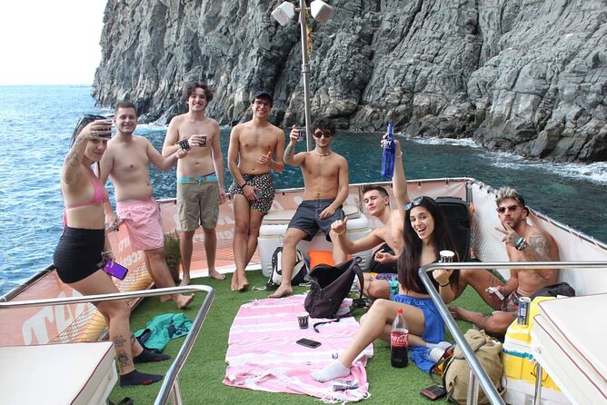 3-Hours Private Tour to Accessible Boat en Canary Island - What the cetacean chances mean for your day plan