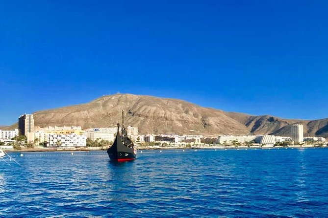 3h Viking Cruise with Drinks, Whales watching & Swimming Time - Viking Ragnarok on Tenerife, what this 3 hour outing really delivers