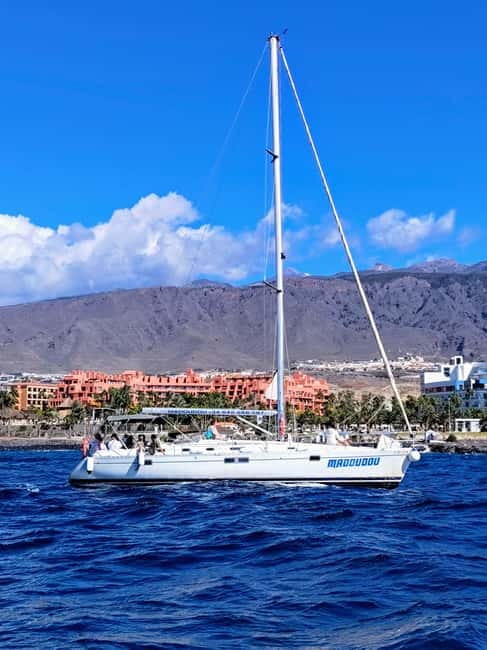 3h Whale Watching Private tour Beneteau Oceanis 440 - Key things that make this tour worth your time