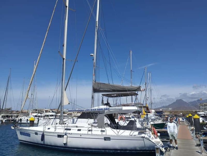 3h Whale Watching Private tour Beneteau Oceanis 440 - Full-sail departure from Puerto Colón via Costa Adeje (45 minutes)
