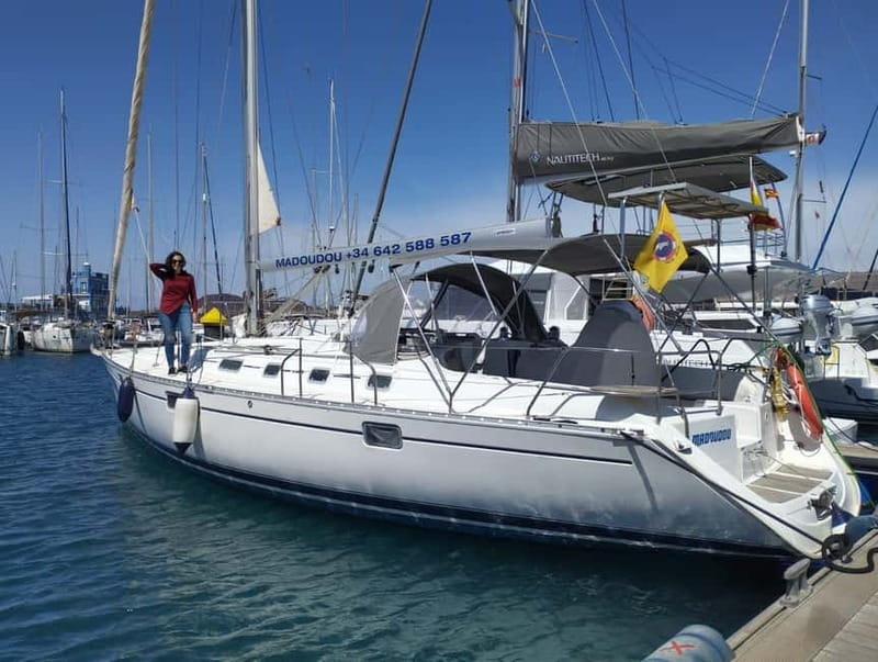 3h Whale Watching Private tour Beneteau Oceanis 440 - Puerto Colón meeting point, plus how the free van pickup works