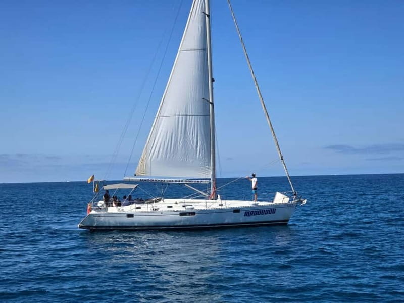 3h Whale Watching Share Tour Beneteau Oceanis 440 - Key Points Before You Go