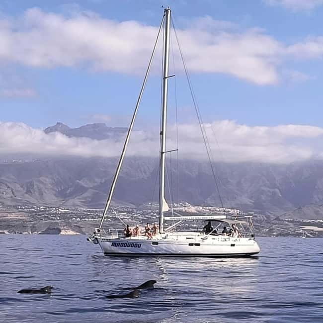 3h Whale Watching Share Tour Beneteau Oceanis 440 - How the 3 Hours Are Used (And Why It Feels Balanced)