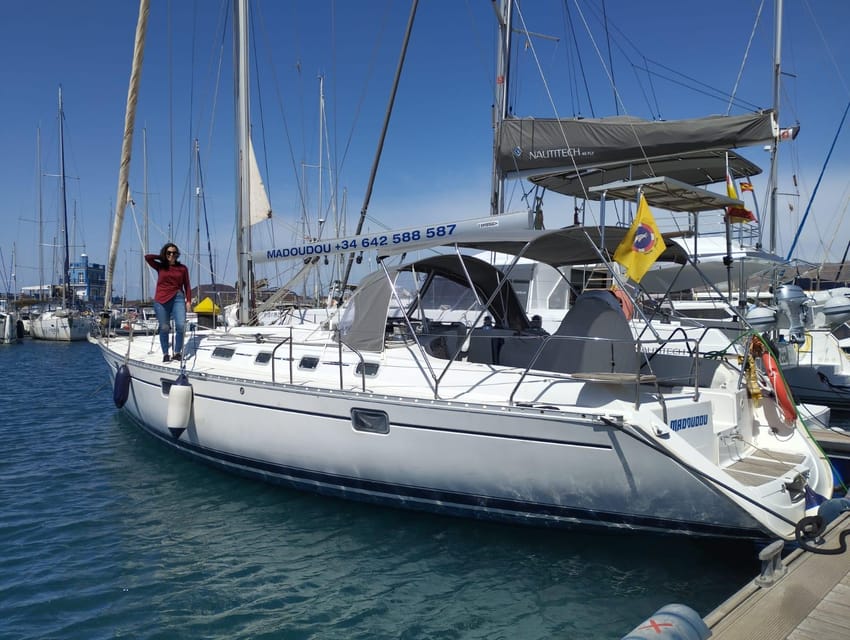 3h Whale Watching Share Tour Beneteau Oceanis 440 - The Secret Stop: Brunch and 30 Minutes of Snorkeling