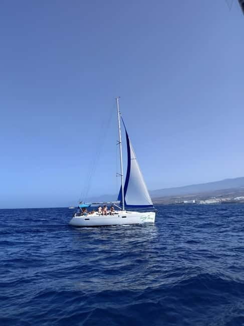 3h Whale watching Share Tour Costa Adeje Lina7 Mizendoha - Captain and Crew Vibe, and Why It Affects Your Trip