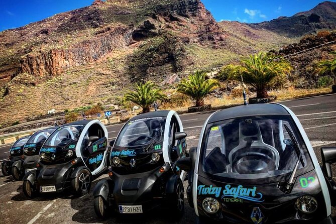 4 Hours Eco Safari Tour with Electric Car in Tenerife - Key highlights at a glance