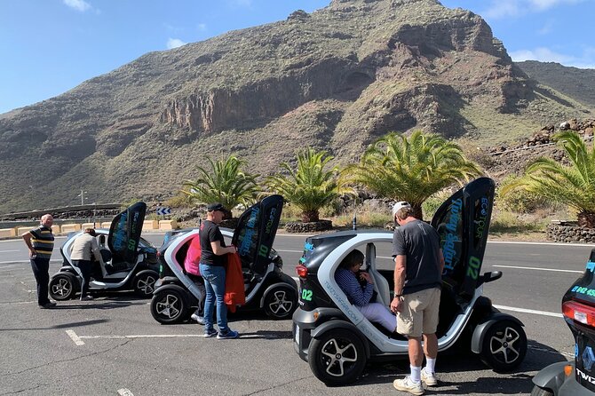 4 Hours Eco Safari Tour with Electric Car in Tenerife - How the Twizy drive works, and the one consideration to plan for