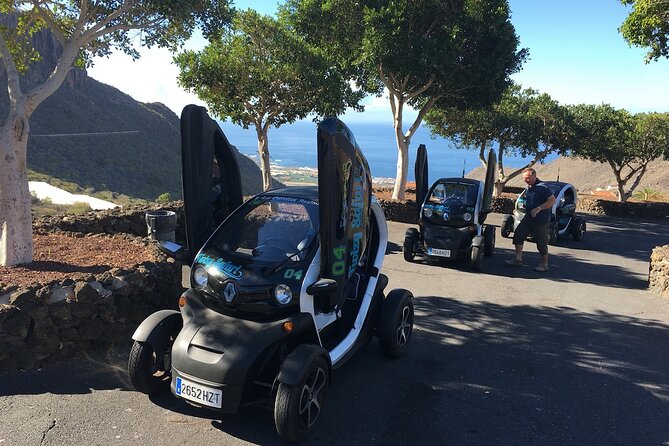 4 Hours Eco Safari Tour with Electric Car in Tenerife - Puerto de Santiago banana plantation: see export farming up close
