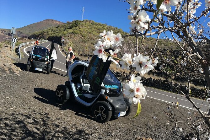 4 Hours Eco Safari Tour with Electric Car in Tenerife - Dani and the way the tour stays on track