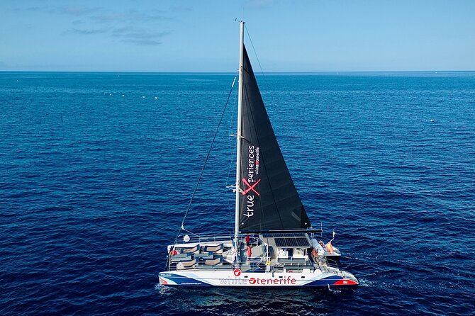 5 hr watching and listening whales and dolps. Visit Los Gigantes - Onboard lunch and drinks: a real time saver