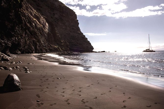 5 hr watching and listening whales and dolps. Visit Los Gigantes - Price and value: is $71.38 worth it?