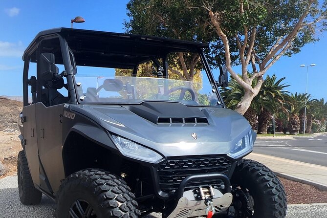6-Seater Monster Buggy Teide Tour - Key things to know before you book