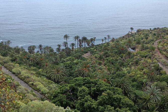 6hrs Private Tour in North Coast of Tenerife - Playa del Socorro and San Juan de la Rambla, volcanic shore meets historic streets