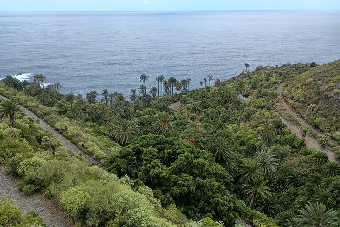6hrs Private Tour in North Coast of Tenerife - What the day feels like on the ground