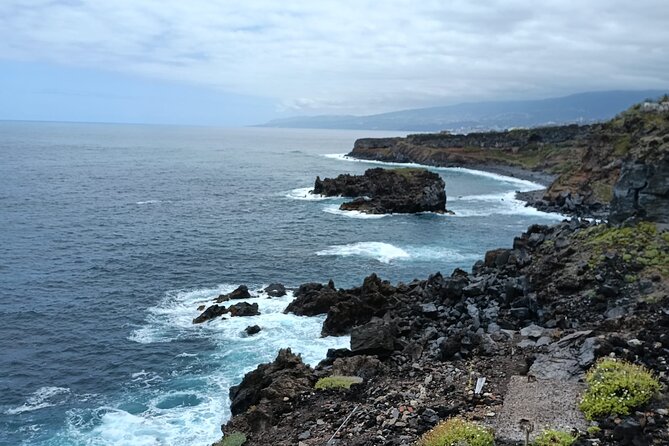 6hrs Private Tour in North Coast of Tenerife - Mesa del Mar and Playa La Arena de Tacoronte, black sand and calm water