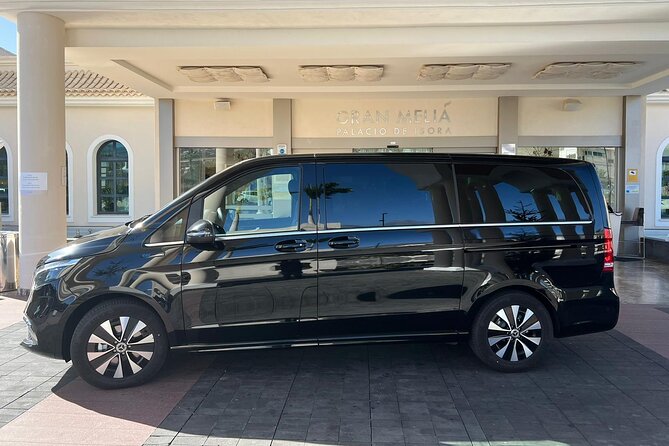8-Hour Rental in a Luxury Car and Driver/Official Private Guide in Tenerife - Private day on Tenerife: why this format is worth it
