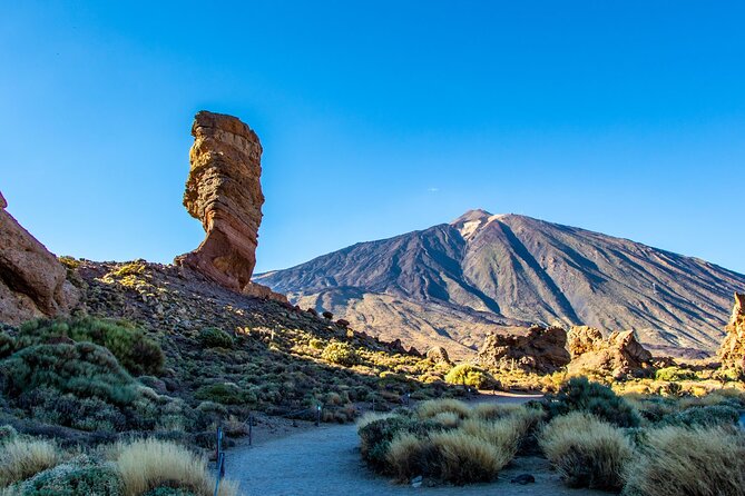 8-Hour Rental in a Luxury Car and Driver/Official Private Guide in Tenerife - Luxury car and driver logistics: comfort for real