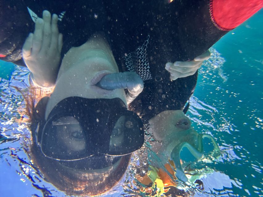 Abades: Guided Snorkeling Tour with Photos - Practical Tips Before You Go (So You Do Not Lose Time at the Waterline)