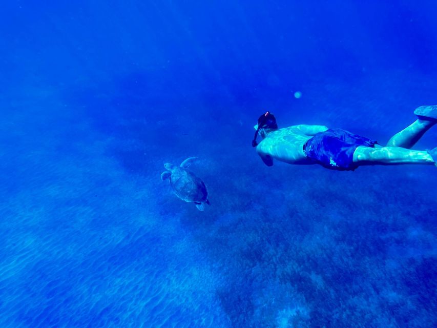 Abades: Guided Snorkeling Tour with Photos - Gear, Wetsuits, and the Safety Setup That Makes Snorkeling Feel Manageable