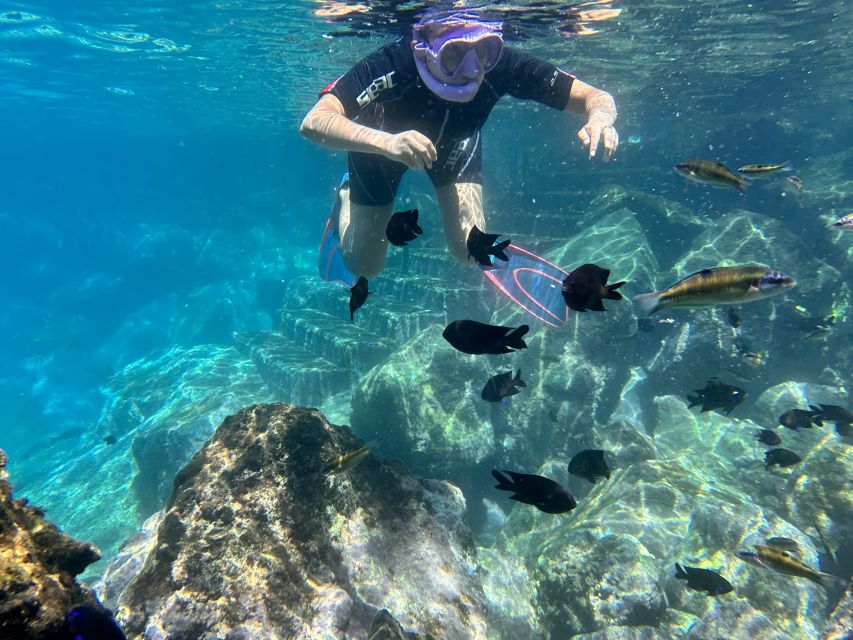 Abades: Guided Snorkeling Tour with Photos - What You’ll See Underwater Off Playa Abades