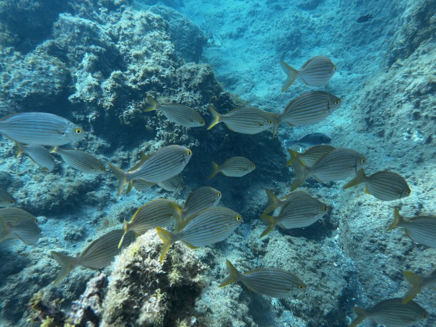 Abades: Guided Snorkeling Tour with Photos - Underwater Photos and Videos, and Why They Matter More Than You Think