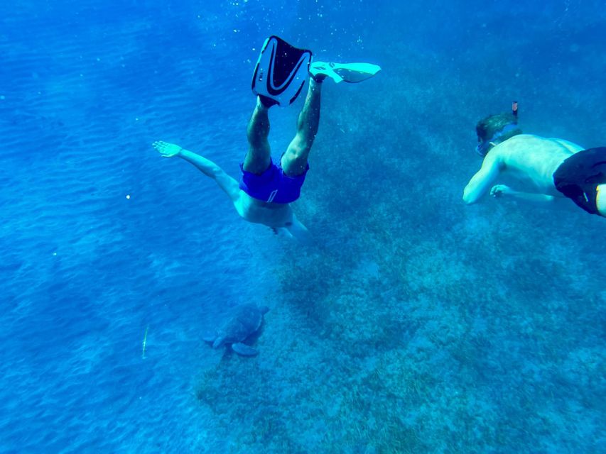 Abades: Guided Snorkeling Tour with Photos - Who This Snorkeling Tour Suits Best