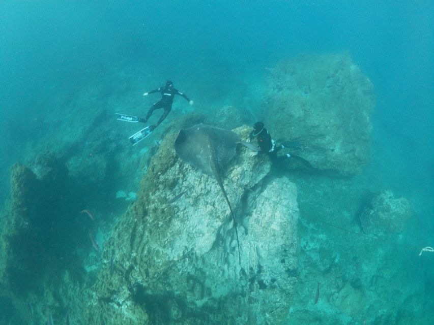 Abades: Tenerife Turtles and Rays Snorkeling Trip - Boat Day vs Coast Day: How the Starting Point Shapes Your Swim