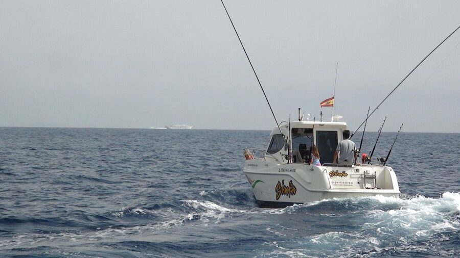 Adeje: 3.5–Hour Professional Fishing Experience - Where you start on Tenerife: Puerto Colón (Gate 3)
