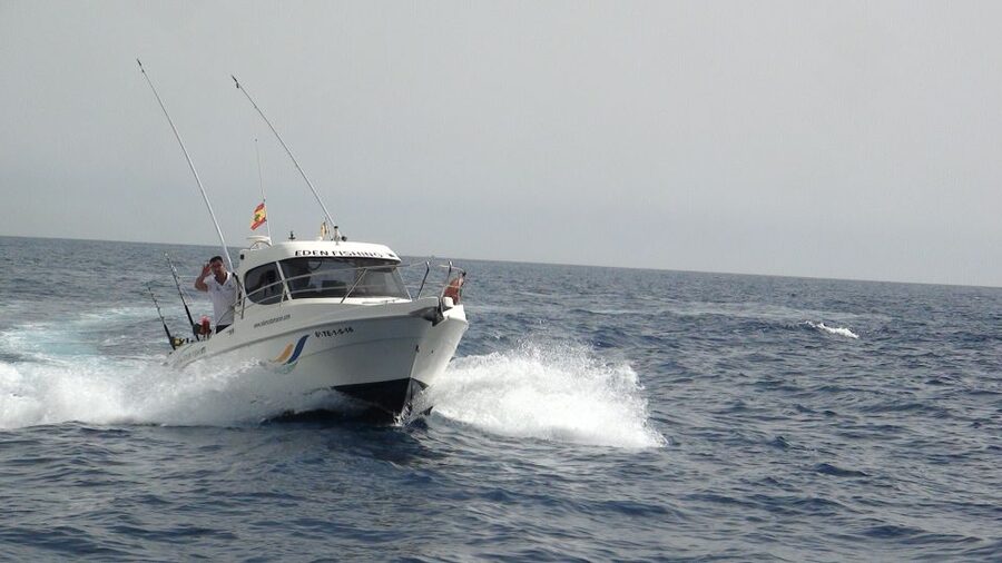 Adeje: 3.5–Hour Professional Fishing Experience - The crew and the captain-led approach