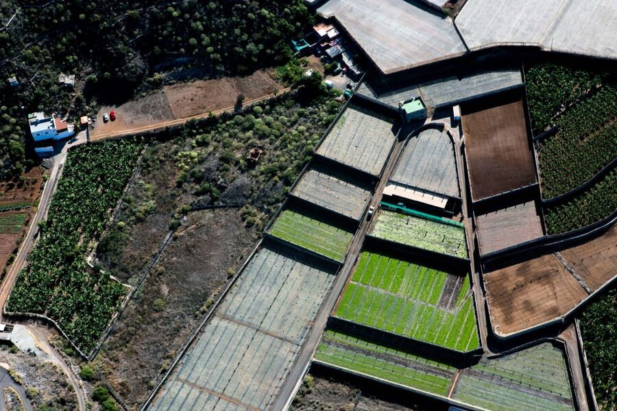 Adeje: Scenic Tenerife Helicopter Flight - Who this fits best, and who should think twice