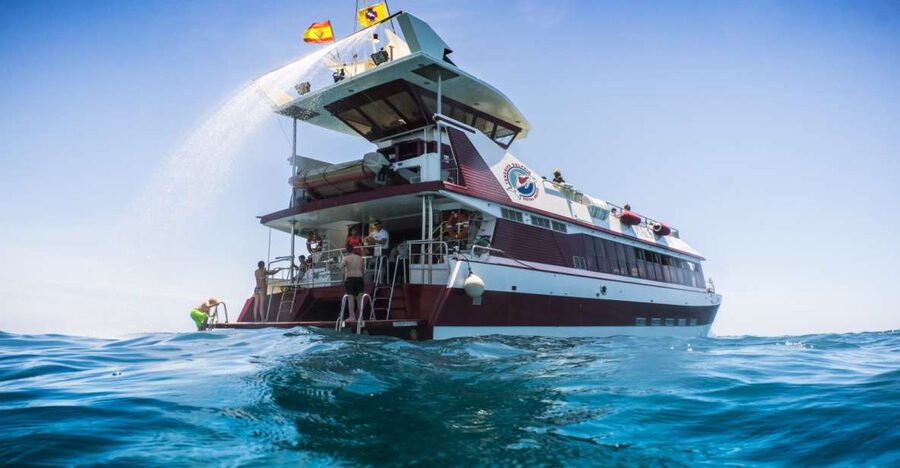 Adeje: Whale and Dolphin Watching Cruise with Lunch and Swim - The 4.5-hour Masca and Los Gigantes cruise: more time, more coastline, more chances