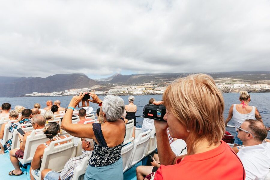 Adeje: Whale and Dolphin Watching Cruise with Lunch and Swim - Teno-Rasca Whale Sanctuary: what you’re actually paying for