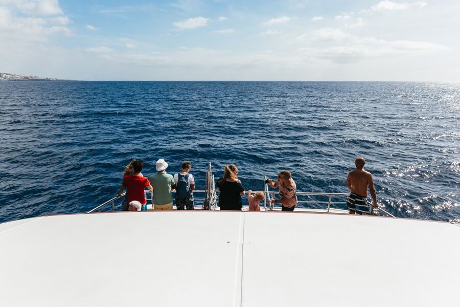 Adeje: Whale and Dolphin Watching Cruise with Lunch and Swim - Seasickness, where to stand, and how to feel better